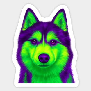 Purple and Green Husky Sticker